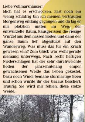 Kalenderwoche 12/2021